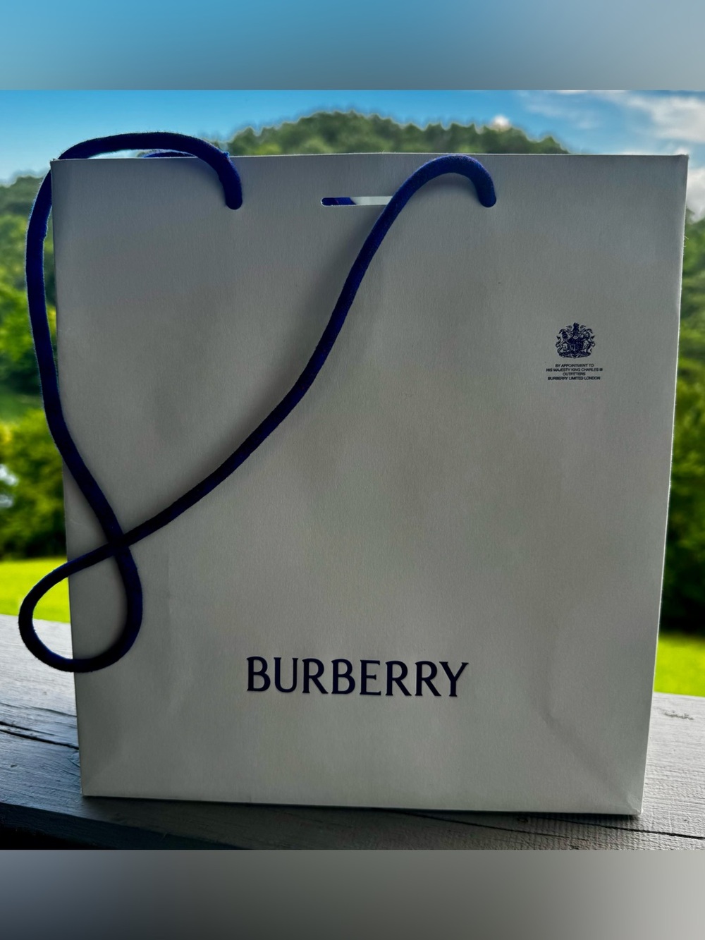 Burberry Luxury Shopping Gift Bag Blue Ribbon Handles Authentic Store Packageing
